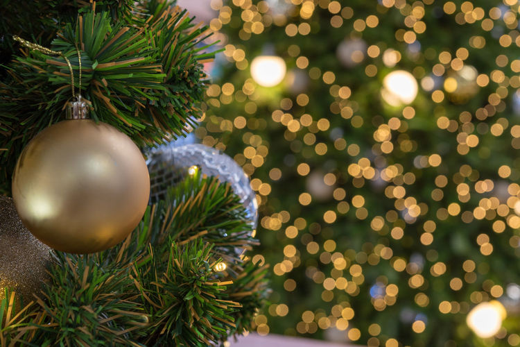 Close-up of christmas tree against lights