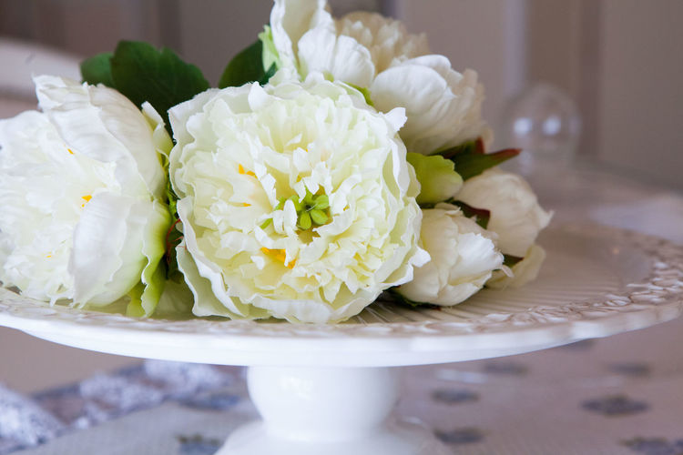 Close-up of white rose on table
