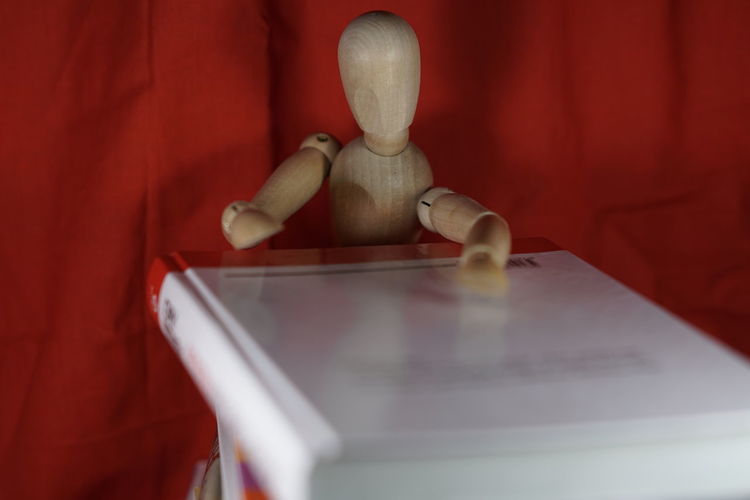 Wooden figurine with open book