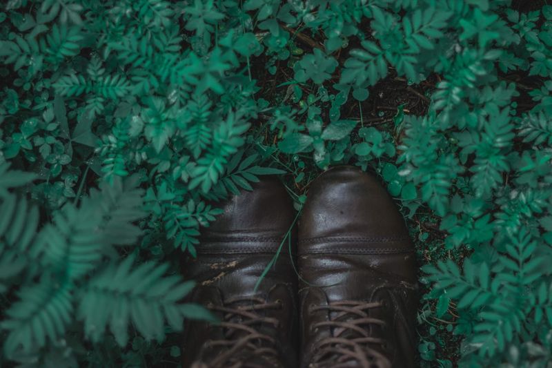 Close-up of shoes on plants