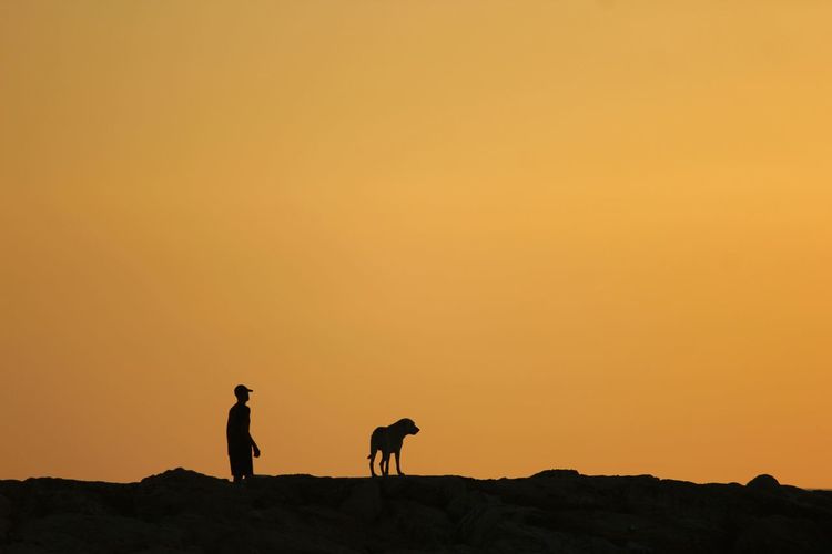 Silhouette man and dog on field against clear orange sky
