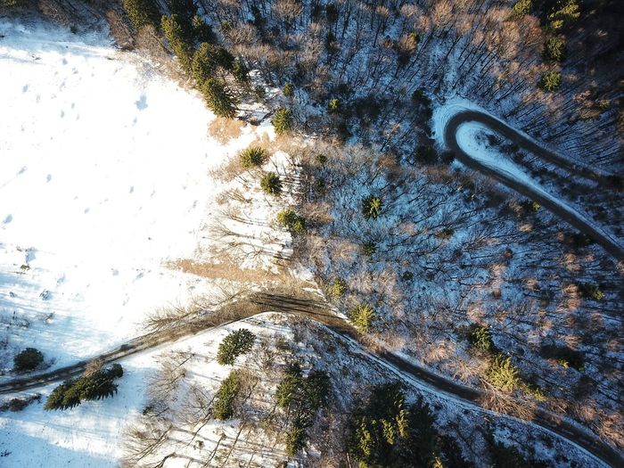 High angle view of snow on winding road amidts trees
