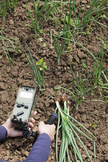 Cropped hand of person holding machine by plant