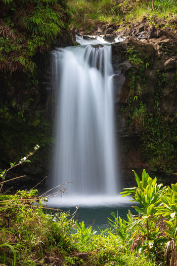 Scenic view of puaa kaa waterfall in forest, maui, hawaii