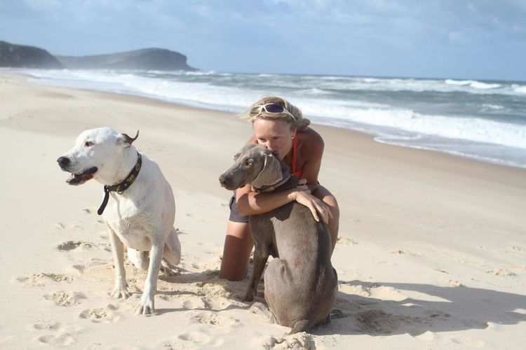 Mature woman pampering dogs at beach during sunny day