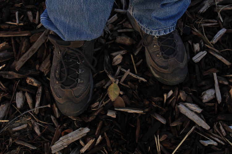 Low section of man wearing shoes standing on broken sticks at forest