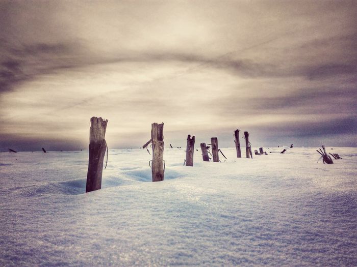 Wooden posts in sea against sky during winter