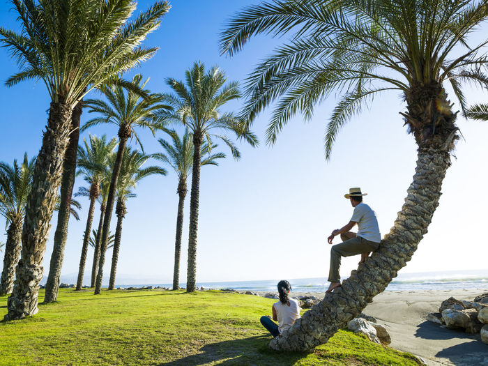 Couple contemplating the sea between palm trees on the beach of