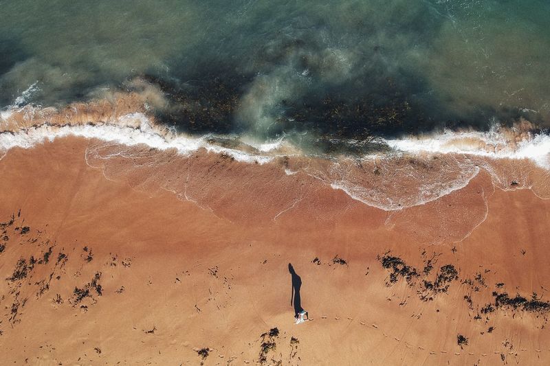 Aerial view of person walking on shore at beach
