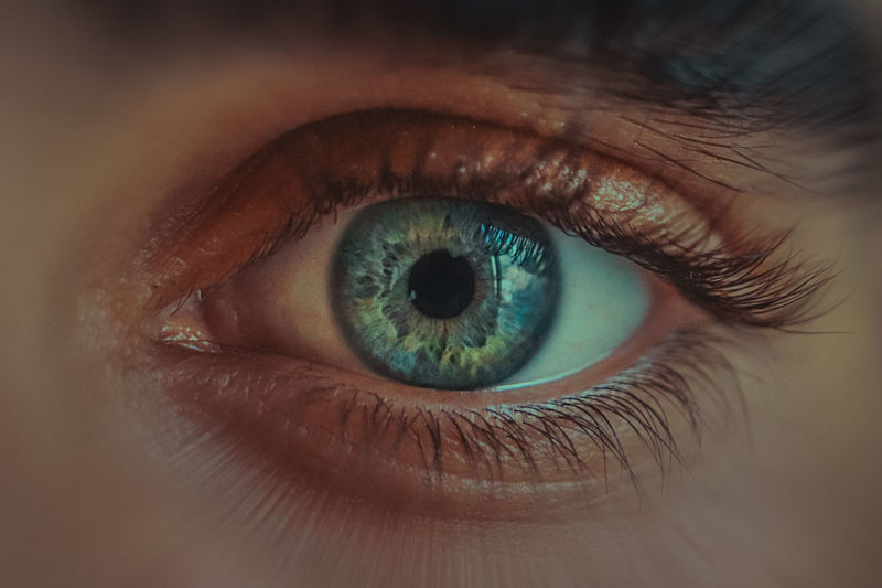He's got an ocean in his eyes EyeEm Of The Week Blue Eyes Body Part Close-up Extreme Close-up Eye Eyeball Eyelash Eyelid Eyesight Human Body Part Human Eye Human Face Iris - Eye Looking At Camera Macro One Person Portrait Sensory Perception Unrecognizable Person