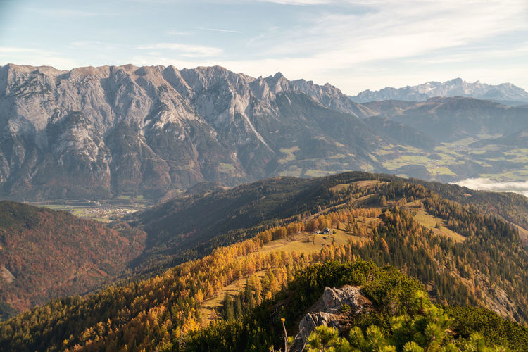 Panoramic view at mountain hut surrounded by fall colored larch trees, werfen in salzburg, austria.