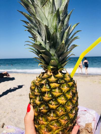 Cropped image of person holding apple at beach