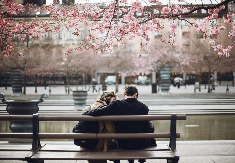 Couple sitting in park