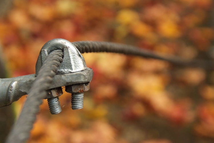 Close-up of metal during autumn