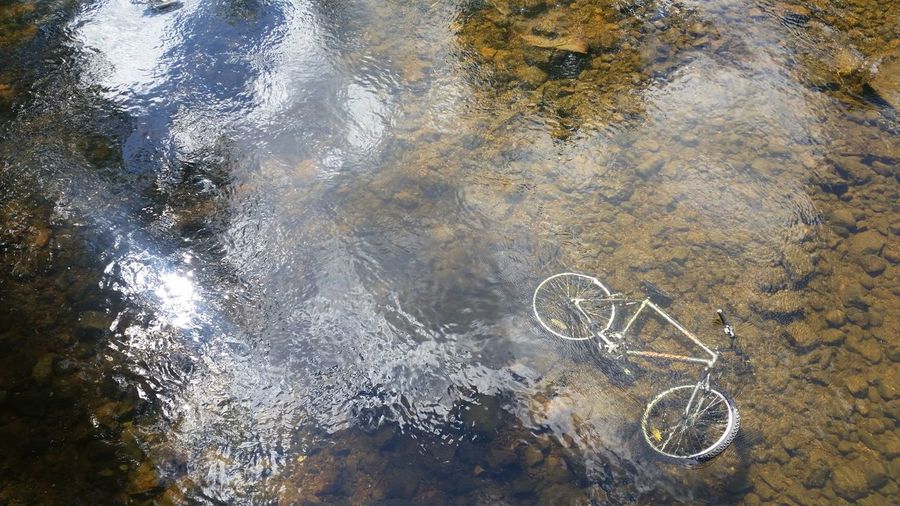High angle view of bicycle in water