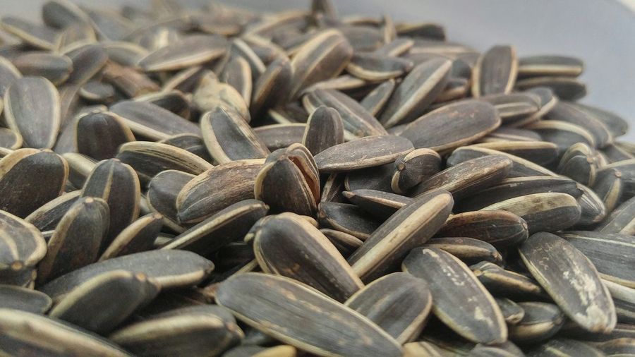 Close-up of sunflower seeds