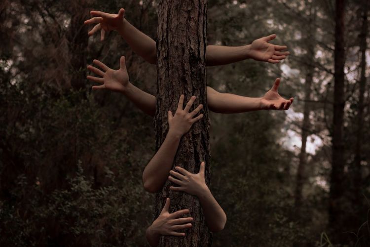 Midsection of woman with arms raised in forest