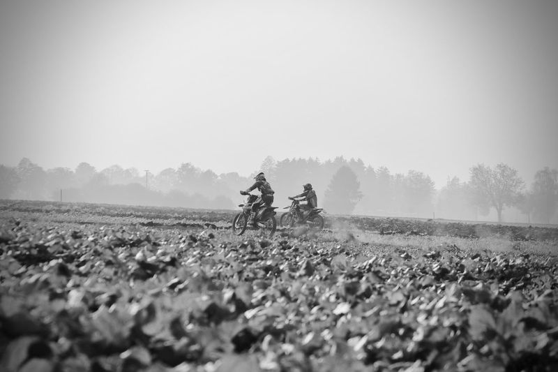 Surface level of people riding motorcycles on ground against clear sky