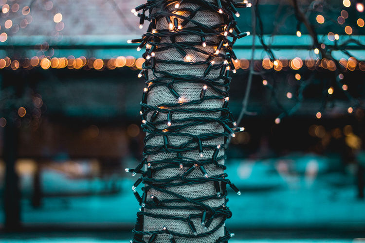 Close-up view of fairy lights