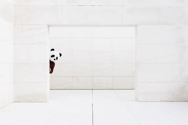 Man wearing panda mask hiding behind doorway