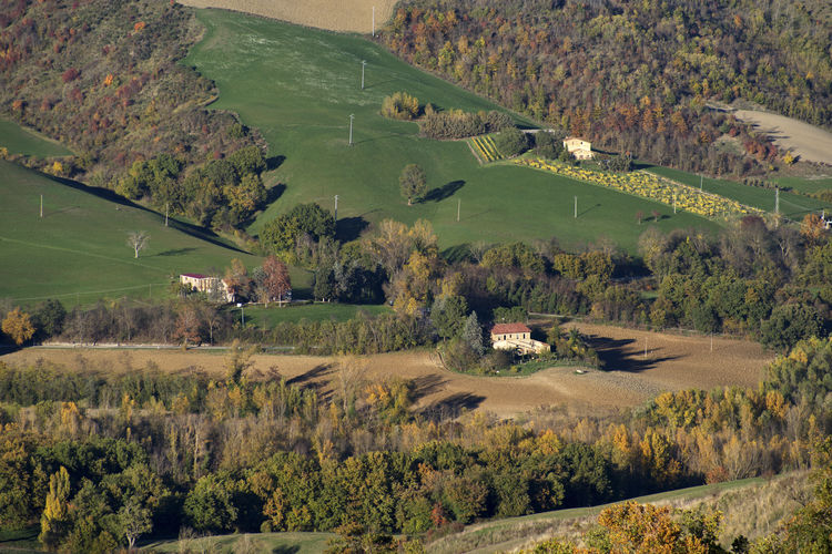 Scenic view of agricultural field by trees and houses