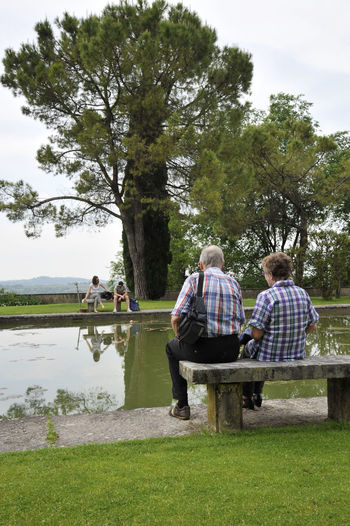 Rear view of people sitting on bench by lake at park