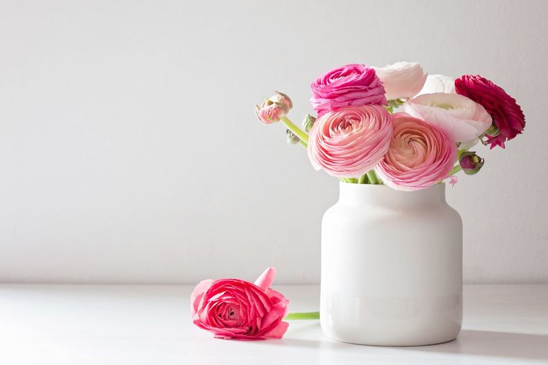 Close-up of pink roses in vase on table