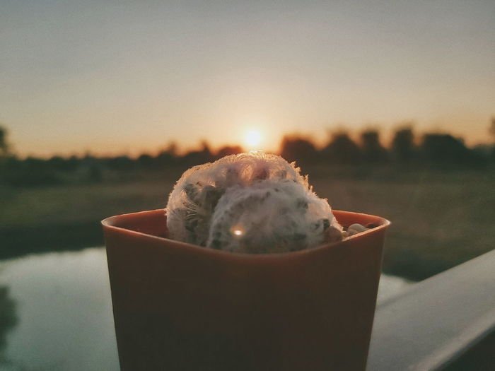 Close-up of ice cream against sky during sunset