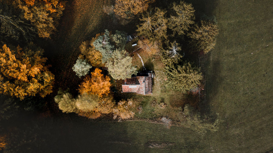 A house in the autumn meadow with trees
