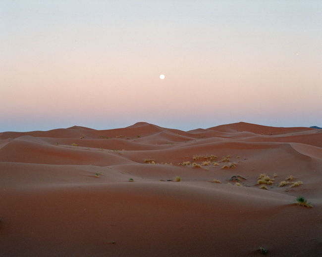 Scenic view of desert against clear sky during sunset