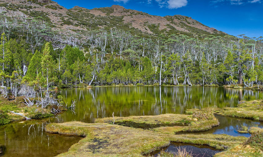 Scenic view of lake by trees against mountain