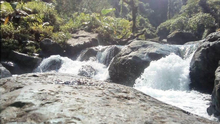 Scenic view of waterfall in forest