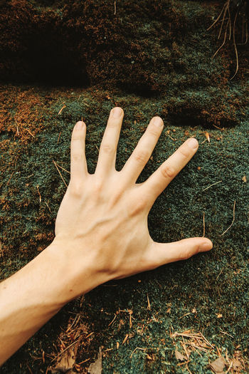 Close-up of person hand on field