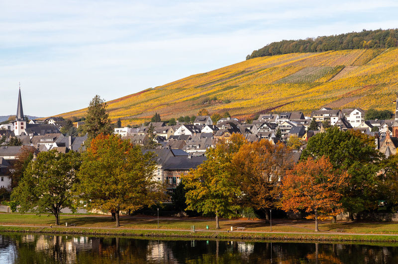 Scenic view at bernkastel-kues and the river moselle in autumn with multi colored trees