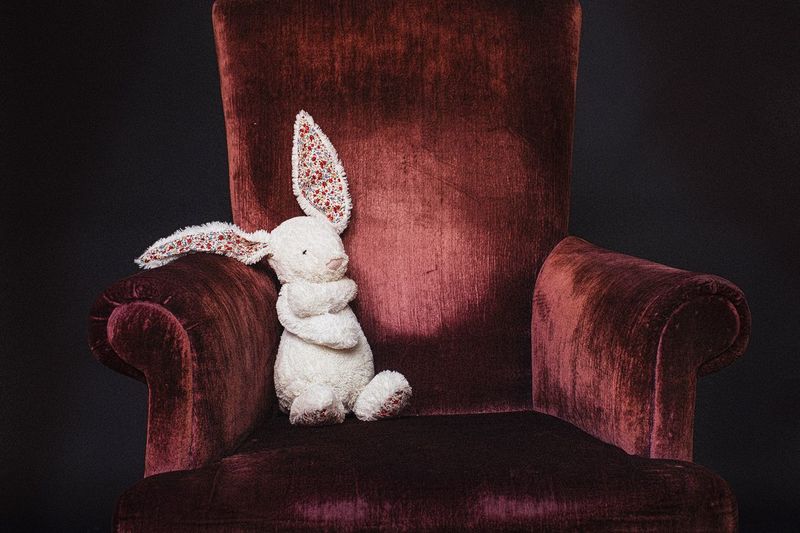 Rabbit toy on arm chair