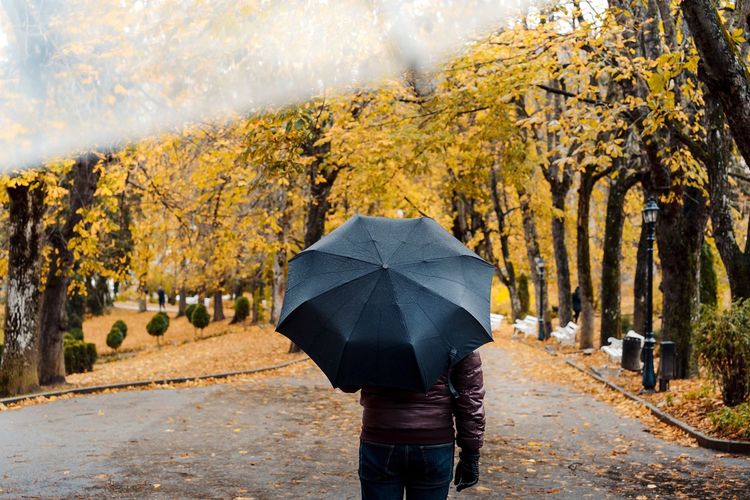 Rear view of man with umbrella standing at park during autumn