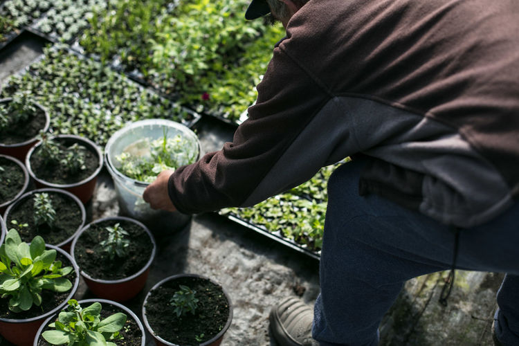 Close-up of man standing by plants