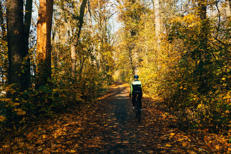 Rear view of woman riding bicycle in forest during autumn