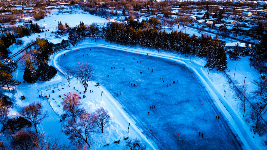 High angle view of trees and a frozen lake use for ice skating 