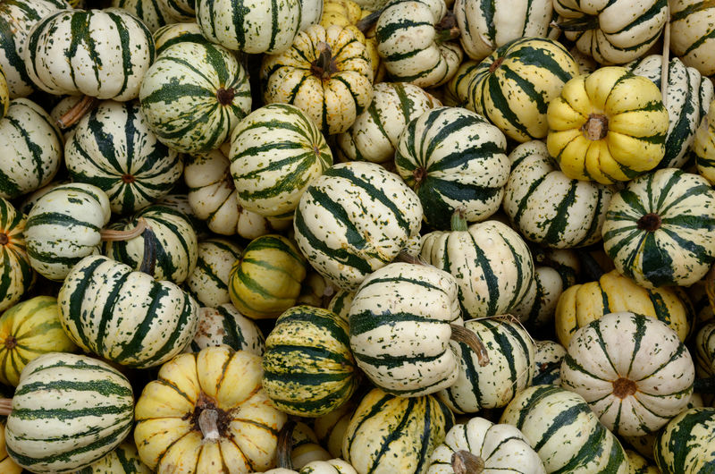 Full frame shot of pumpkins for sale