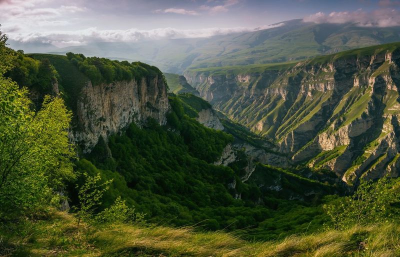 Mountains of chechnya in the caucasus. beautiful gorge