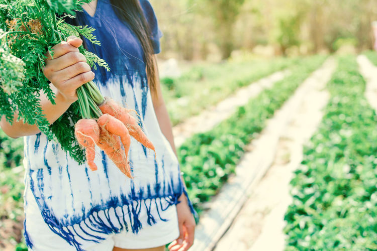 Midsection of woman holding radish while standing at farm