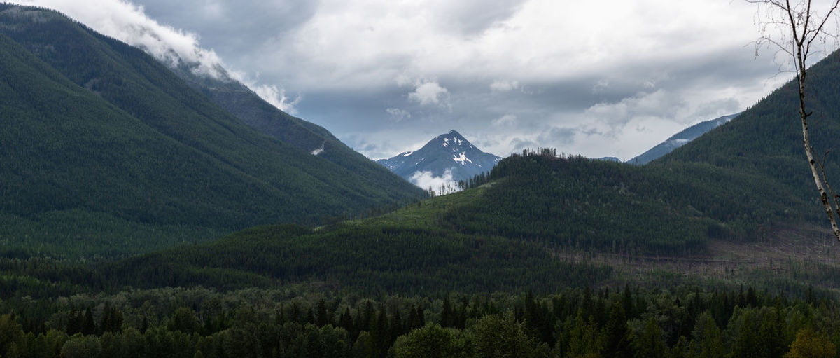 Panoramic shot of trees and mountains against sky