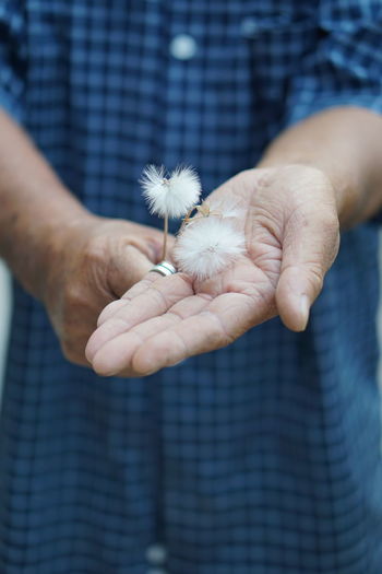 Midsection of man holding dandelion seed