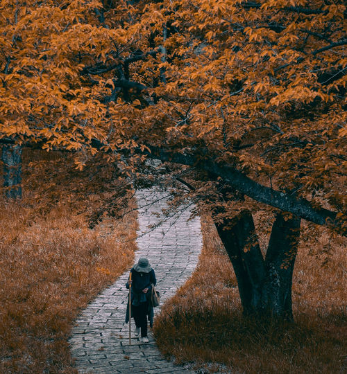 Woman walking on footpath during autumn