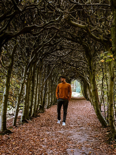 Full length rear view of man walking in forest