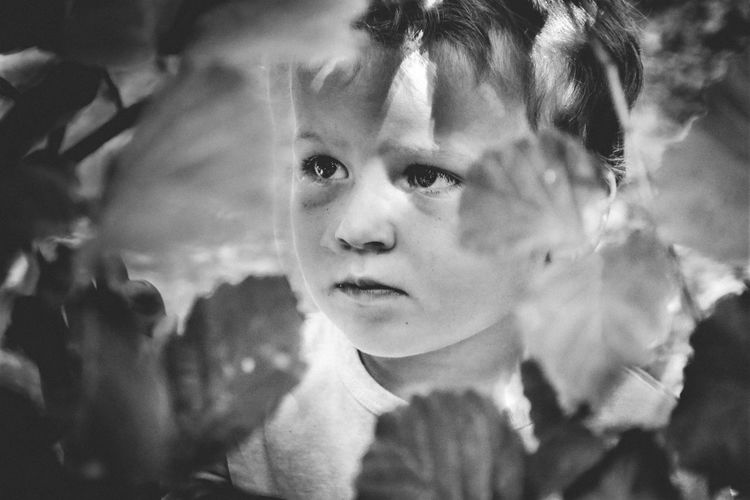 Close-up portrait of boy behind leaves