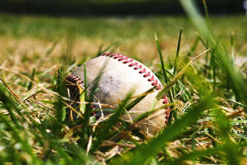 Close-up of baseball in grass