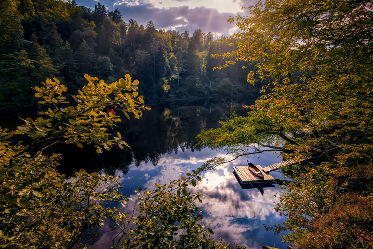 Scenic view of river amidst trees