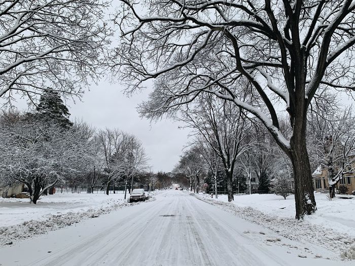 Snow covered road amidst bare trees in city